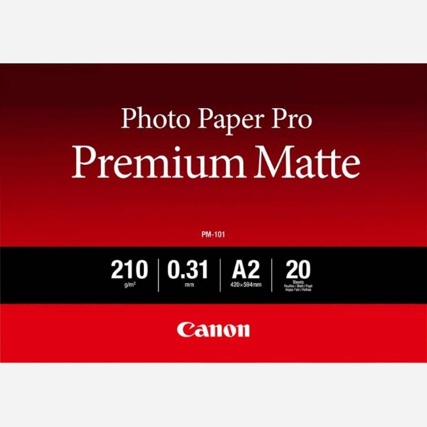 PM-101 PAPIER PHOTO PRO PREMIUM MAT 210g