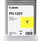 PFI 120