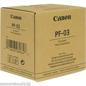 PF 03