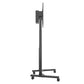 Momentum E-lift
