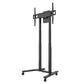 Momentum E-lift